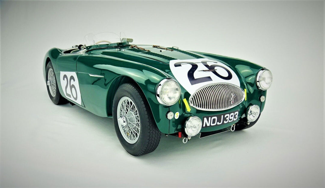 Austin Healey 100S NOJ393 (Lance Macklin 1955 Le Mans) 1:5 scale