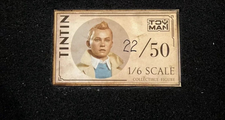 TinTin - By: ToyMan [1:6 scale] RARE