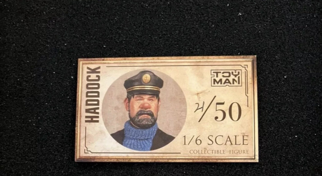 Captain Haddock - By: ToyMan [1:6 scale] RARE