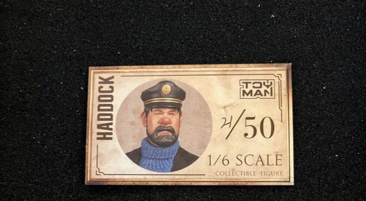 Captain Haddock - By: ToyMan [1:6 scale] RARE