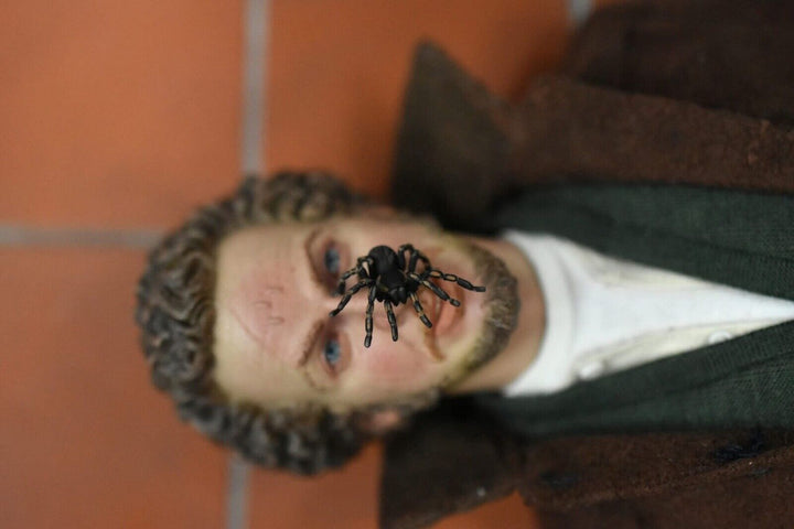 Home Alone (Wet Bandits) - By: Cheung Kinmen [ 1:6 Scale Full Set + Diorama]RARE