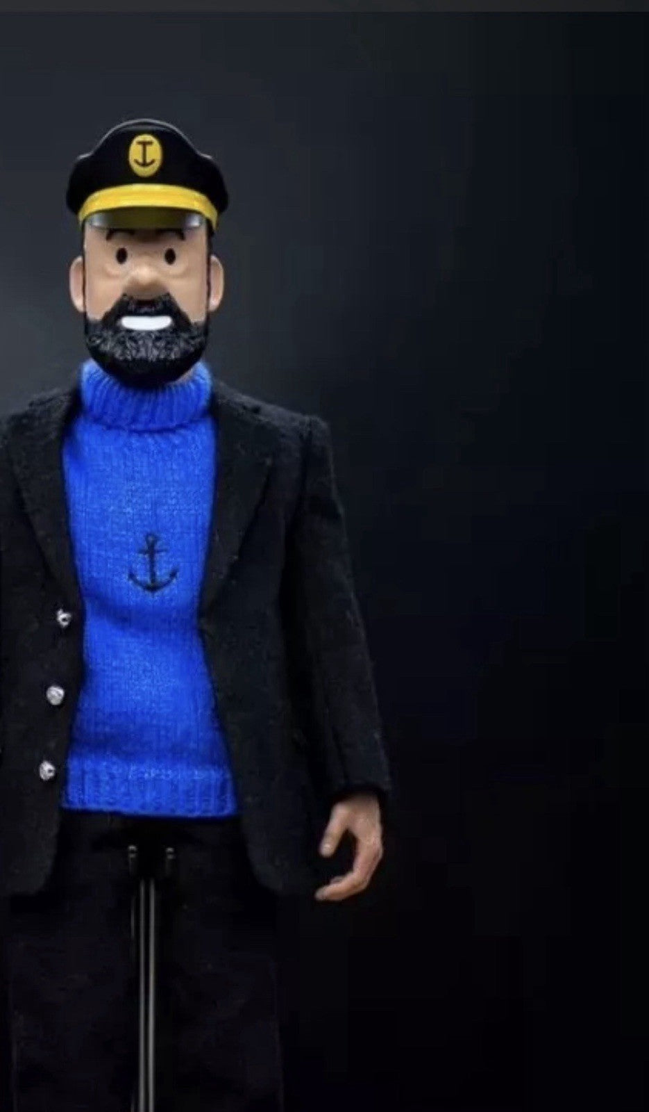 Captain Haddock - By: ToyMan [1:6 scale] RARE