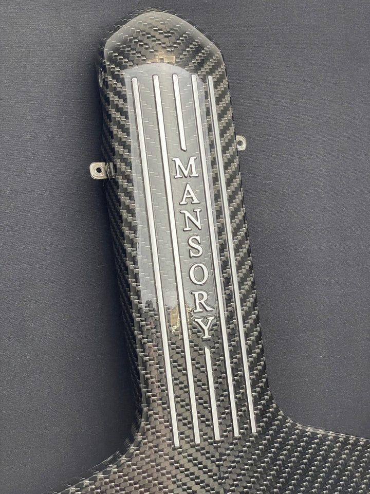 Mansory Carbon Fiber Ford GT Engine Manifold (Framed)