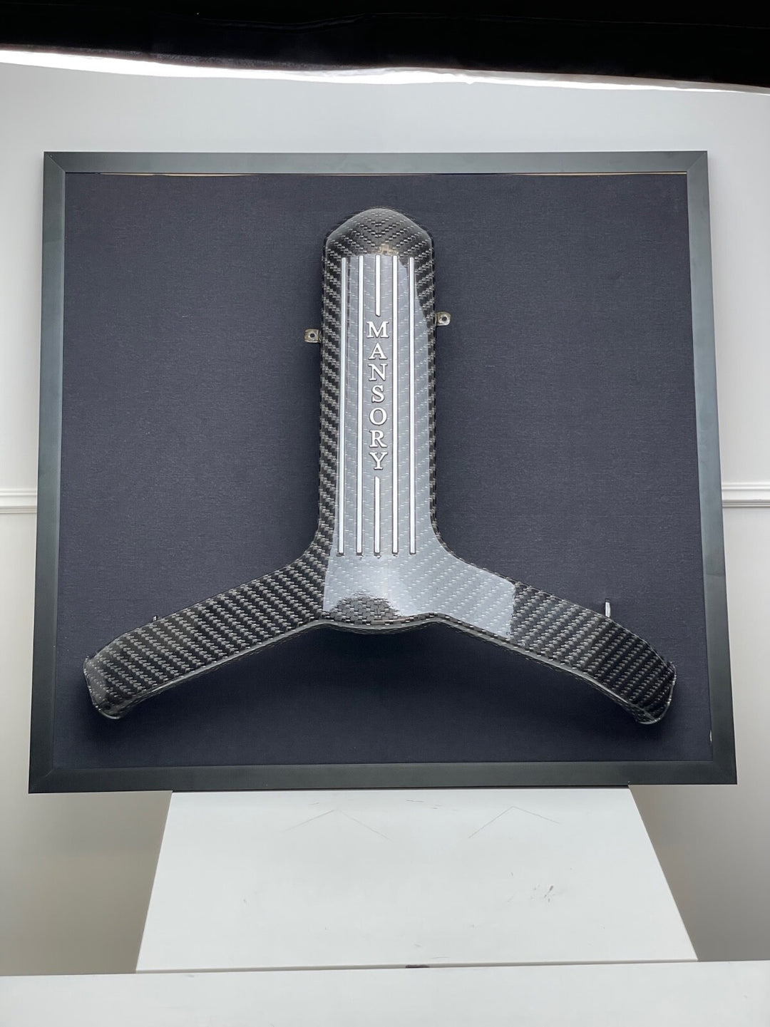 Mansory Carbon Fiber Ford GT Engine Manifold (Framed)