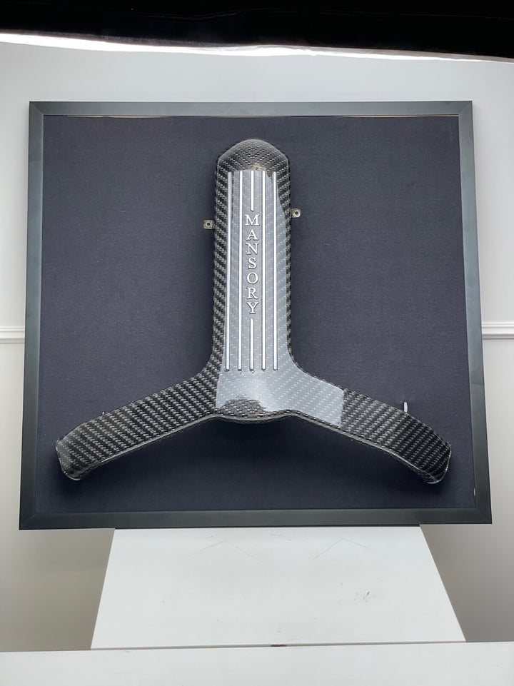 Mansory Carbon Fiber Ford GT Engine Manifold (Framed)